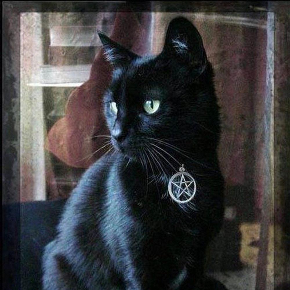 Witches Familiar Pentacle Cat Collar in Various Colors Adjustable